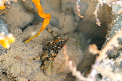 DSC_8907.jpg