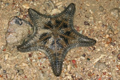 DSC_8910.jpg