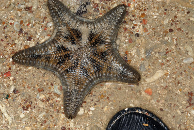 DSC_8911.jpg
