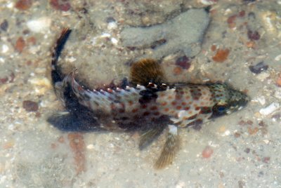 DSC_8913.jpg