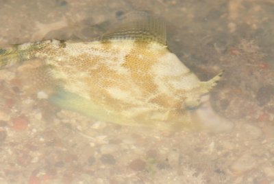DSC_8914.jpg