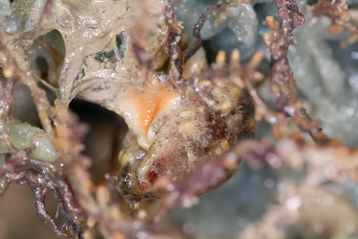 DSC_8920.jpg