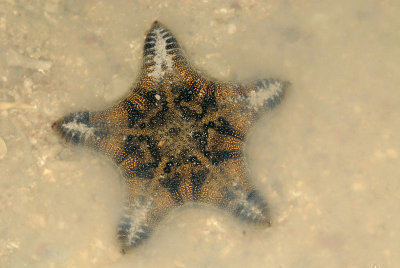 DSC_8921.jpg