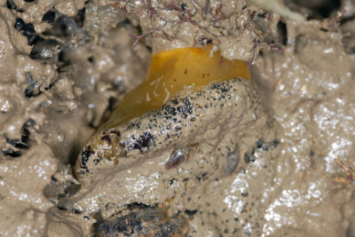 DSC_8923.jpg