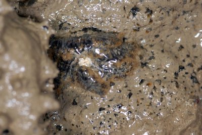 DSC_8925.jpg