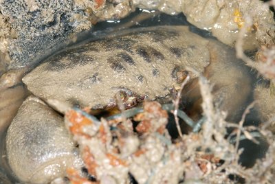 DSC_8935.jpg