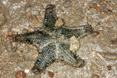 DSC_8940.jpg