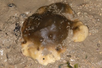 DSC_8941.jpg
