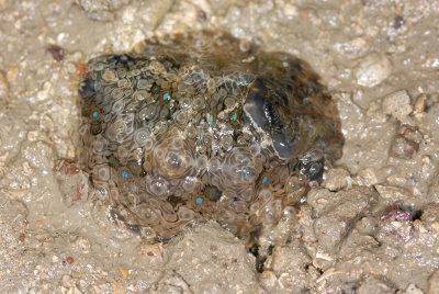 DSC_8942.jpg