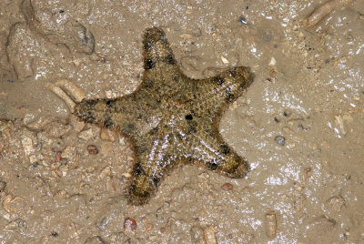 DSC_8951.jpg
