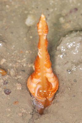 DSC_8952.jpg
