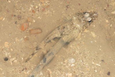 DSC_8954.jpg