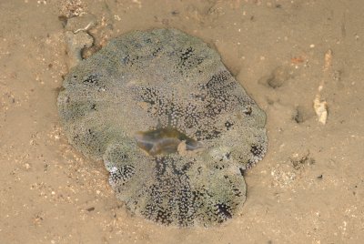 DSC_8955.jpg