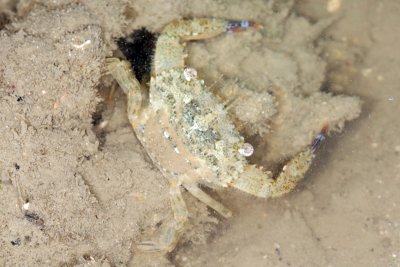 DSC_8957.jpg