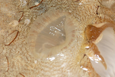 DSC_8959.jpg