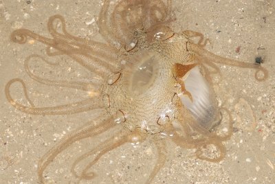 DSC_8960.jpg