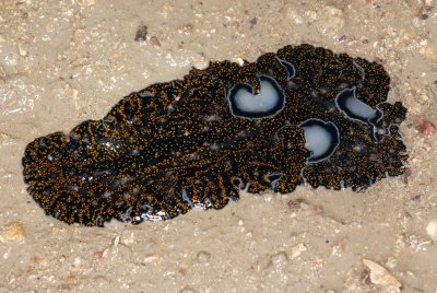 DSC_8967.jpg