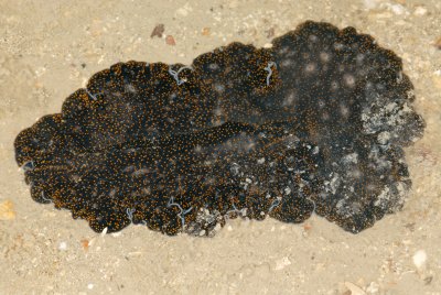 DSC_8968.jpg