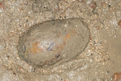 DSC_8970.jpg