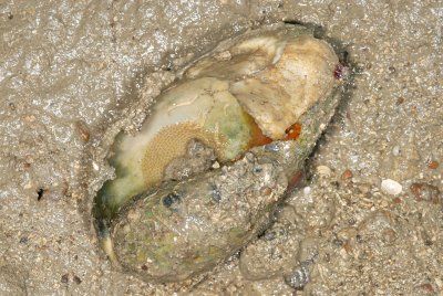DSC_8971.jpg