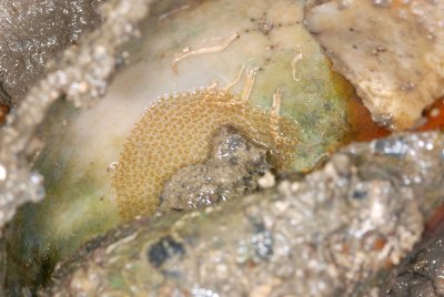DSC_8972.jpg