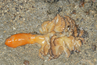 DSC_8973.jpg