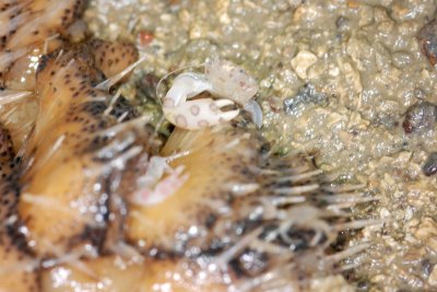 DSC_8974.jpg