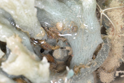 DSC_8982.jpg