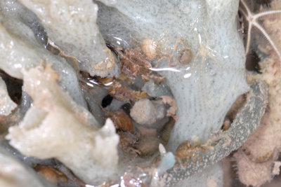 DSC_8983.jpg