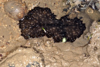 DSC_8986.jpg