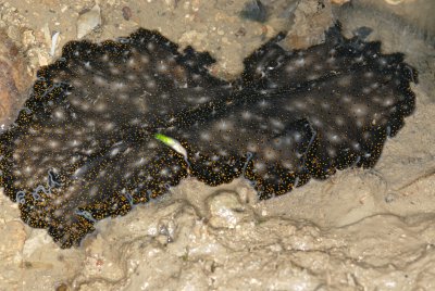 DSC_8987.jpg