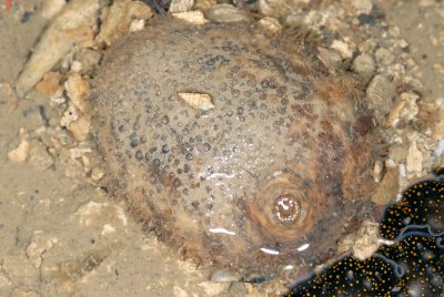 DSC_8989.jpg