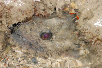 DSC_8992.jpg