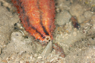 DSC_8996.jpg