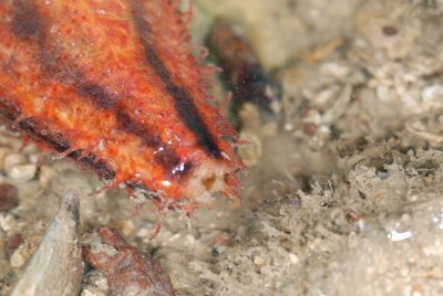 DSC_8998.jpg
