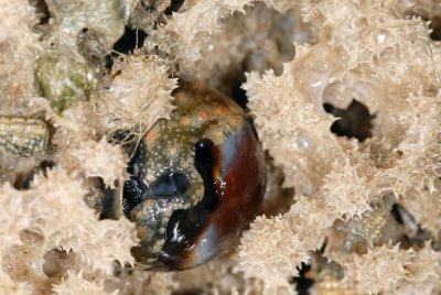 DSC_8999.jpg