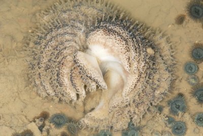 DSC_9003.jpg