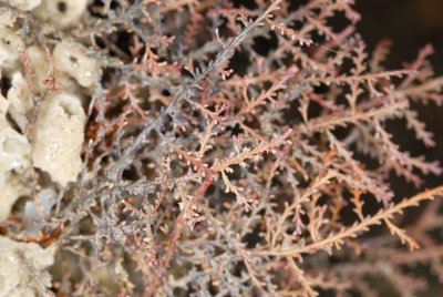 DSC_9006.jpg