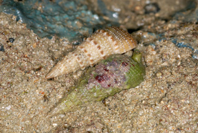 DSC_9036.jpg