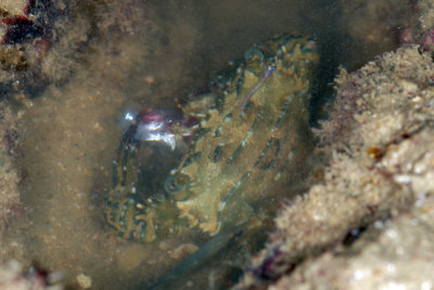 DSC_9040.jpg