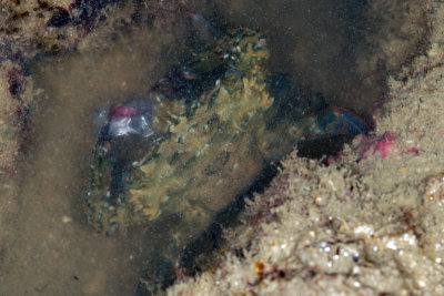 DSC_9041.jpg