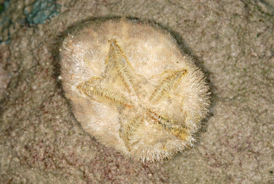 DSC_9045.jpg