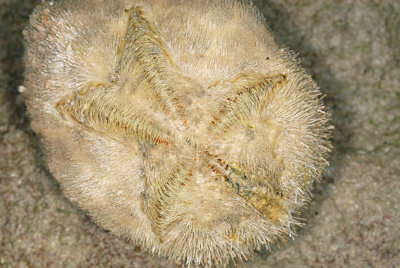 DSC_9046.jpg