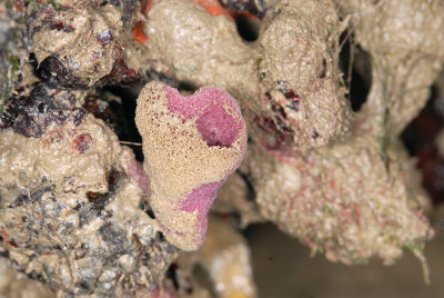 DSC_9053.jpg
