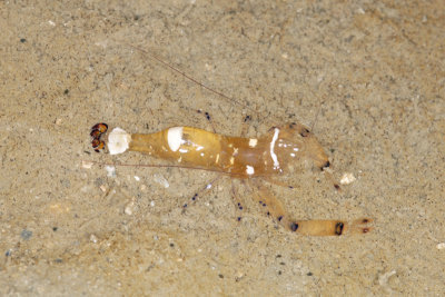 DSC_9055.jpg