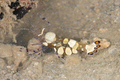 DSC_9057.jpg
