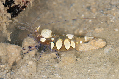 DSC_9058.jpg