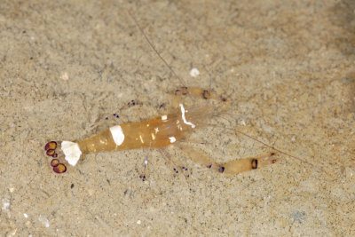 DSC_9062.jpg