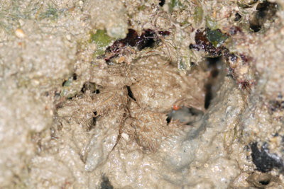 DSC_9078.jpg