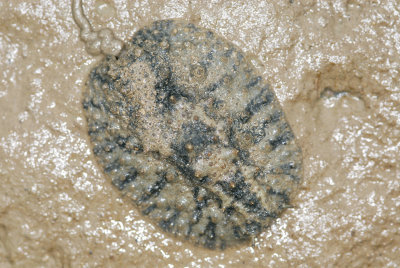 DSC_9080.jpg